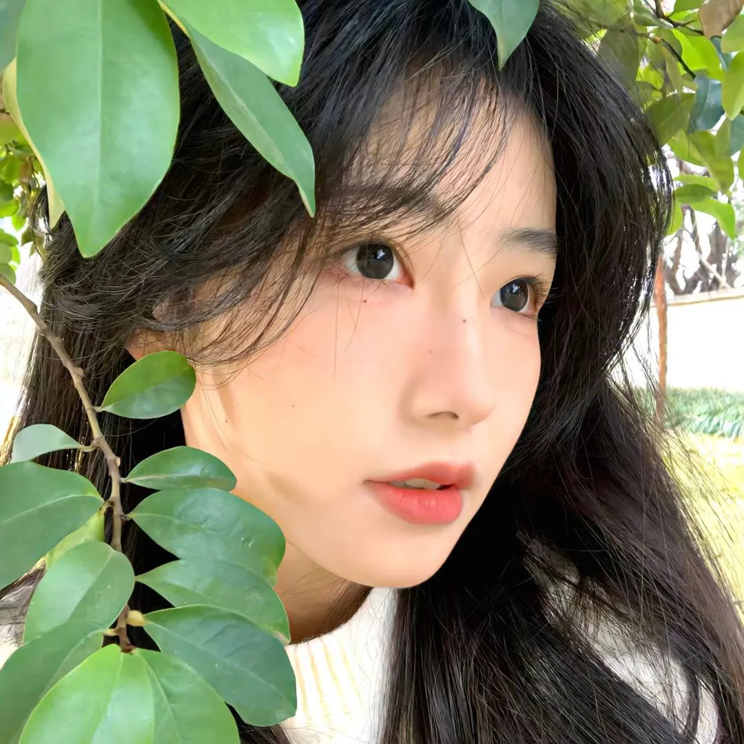 命转情真粤语